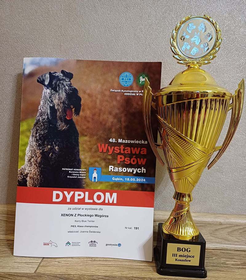 INTERCHAMPION Terrier XENON Z Płockiego Wzgórza