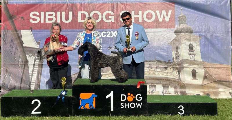 INTERCHAMPION Terrier XENON Z Płockiego Wzgórza 