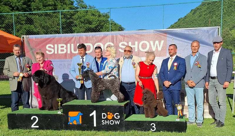 INTERCHAMPION Terrier XENON Z Płockiego Wzgórza 