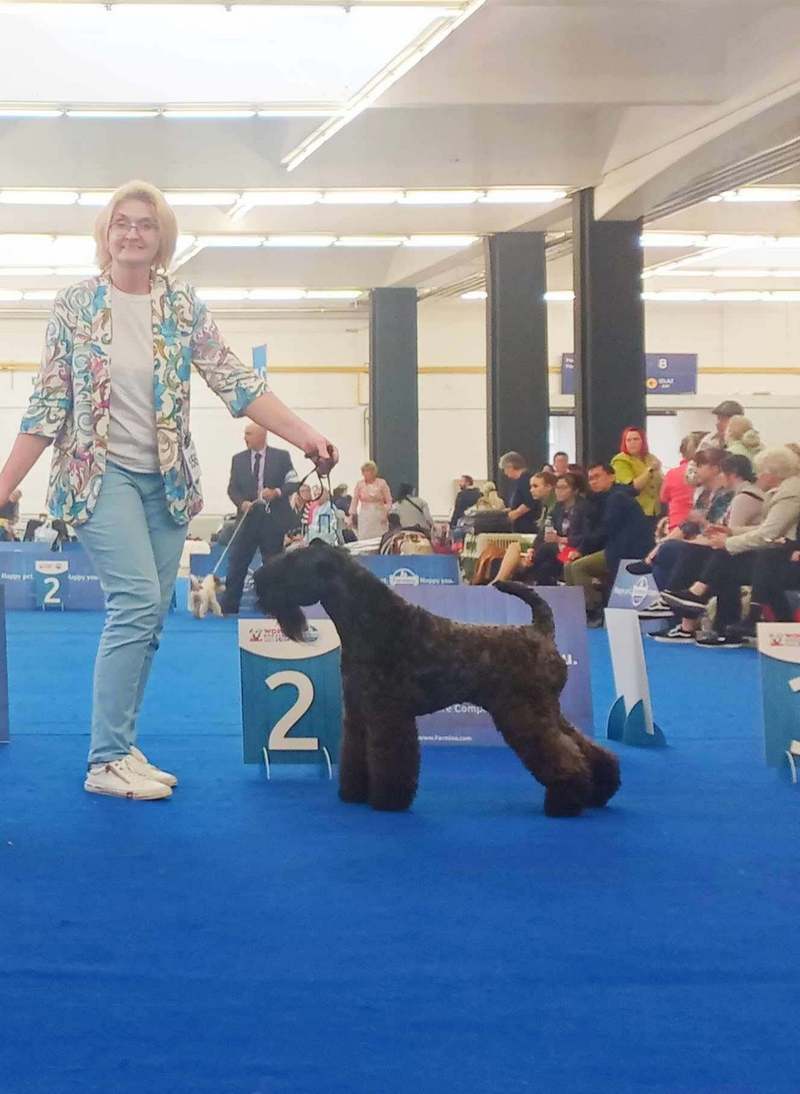 INTERCHAMPION Terrier XENON Z Płockiego Wzgórza