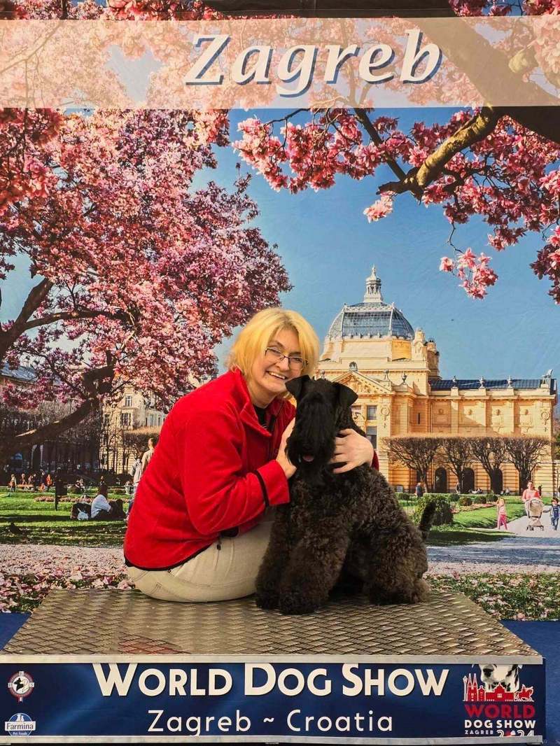 INTERCHAMPION Terrier XENON Z Płockiego Wzgórza